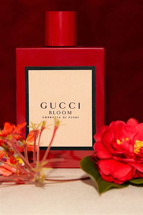 macys gucci bloom ambrosia|The Newest Gucci Bloom Scent Is The Most Sophisticated Yet.